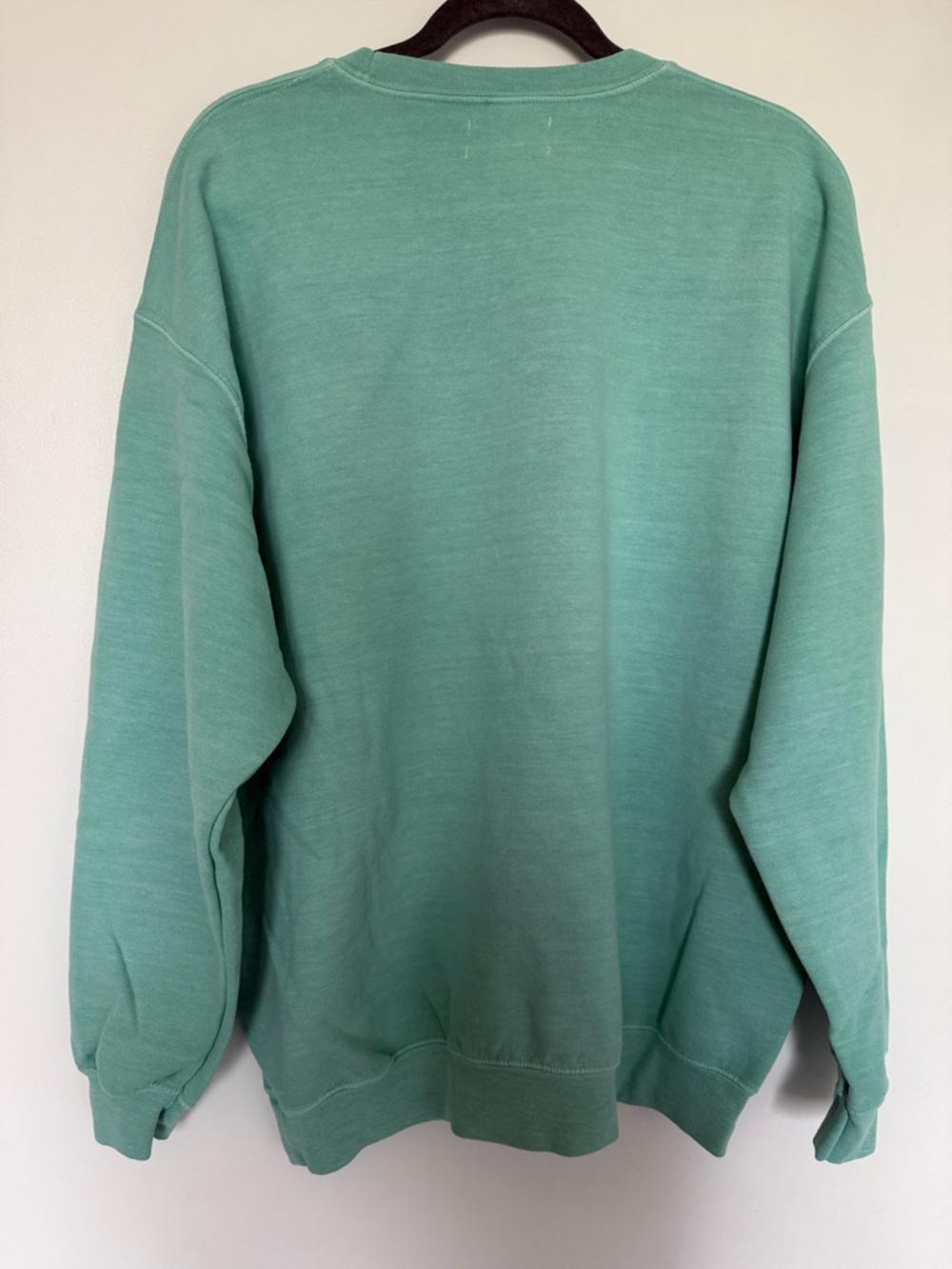 Anthropologie Rooting For You Mint Green Graphic Sweatshirt - Picture 3 of 5